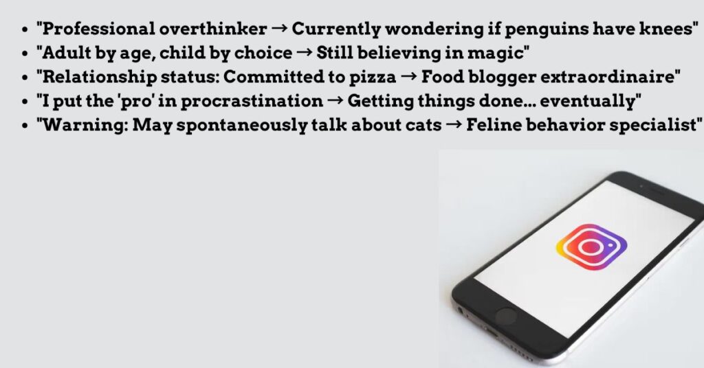 funny-and-witty-instagram-bio-ideas