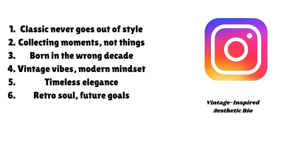 vintage-inspired-aesthetic-bio