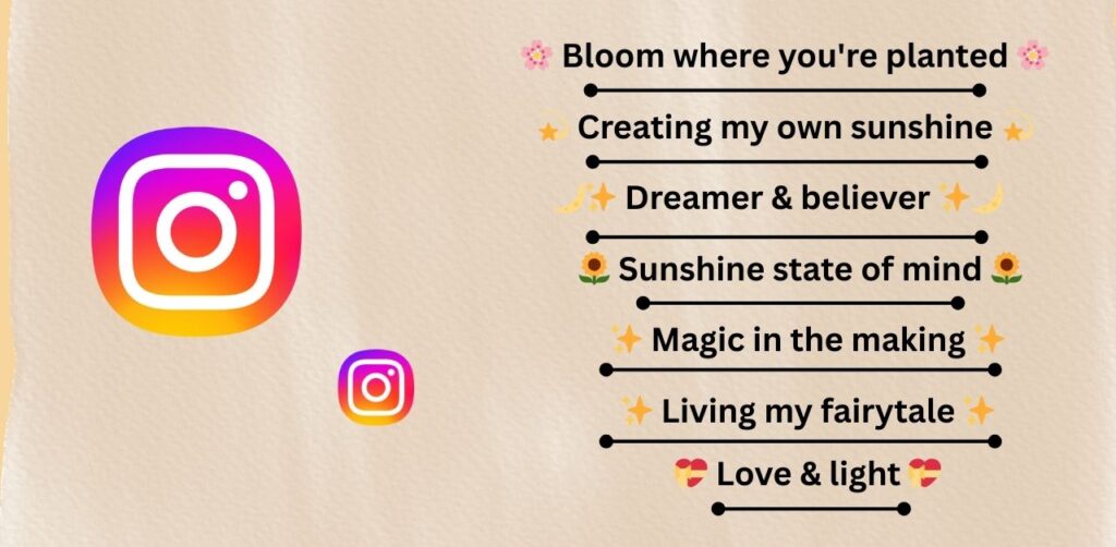 Short Aesthetic Instagram Bio Ideas for Girls