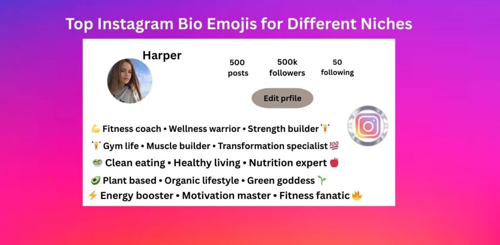 Top Instagram Bio Emojis for Different Niches
