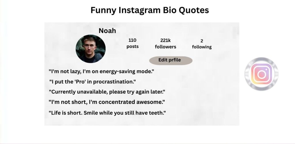 Funny Instagram Bio Quotes