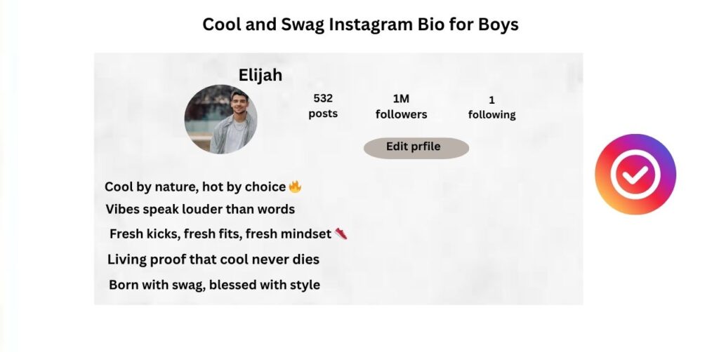 Cool and Swag Instagram Bio for Boys