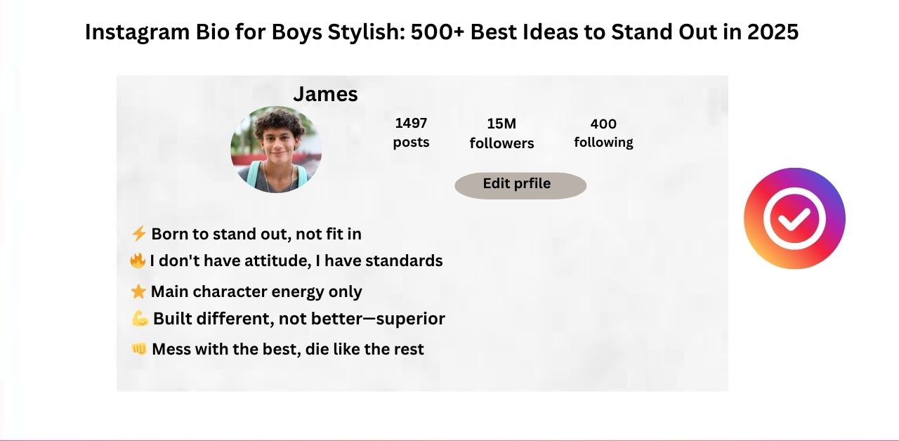 Instagram Bio for Boys Stylish